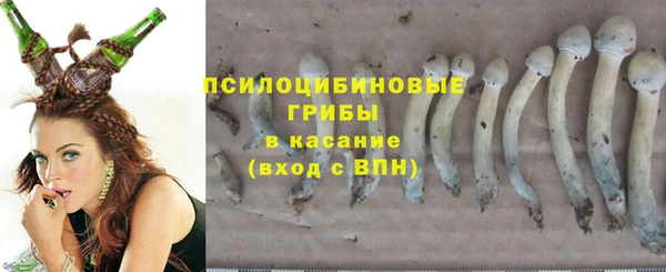 дурь Покровск