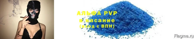 прущие крисы Покачи