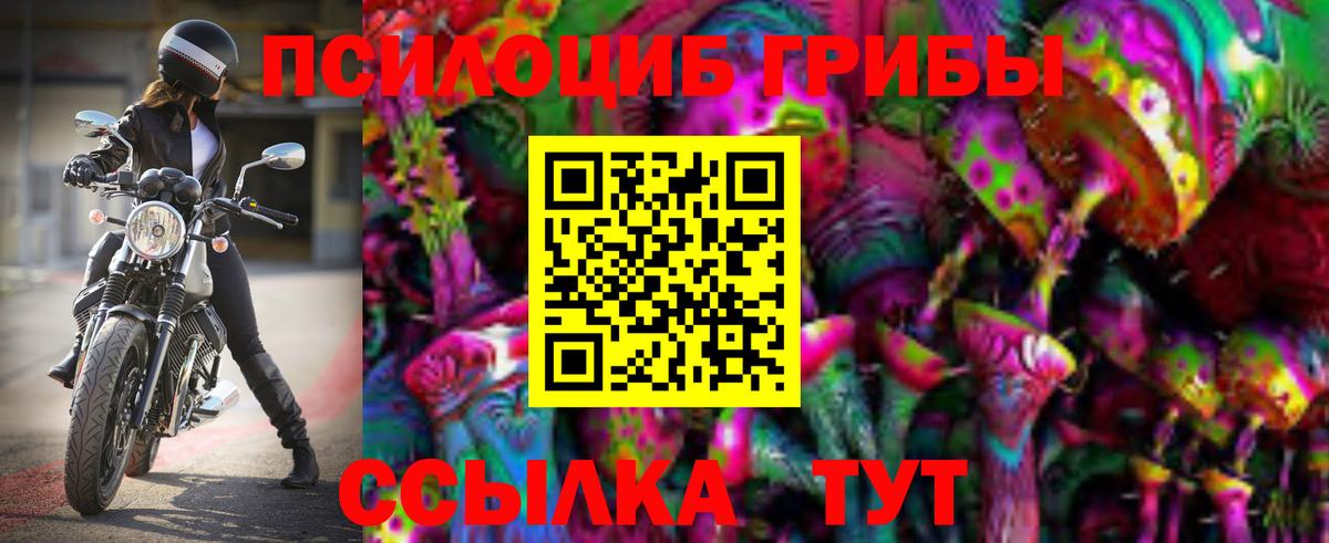 Псилоцибиновые грибы Magic Shrooms Великие Луки